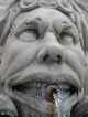 Fountain Face